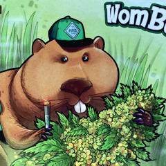 WomBud