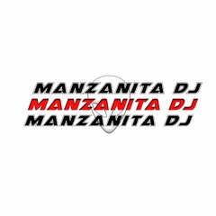 MANZANITA DJ