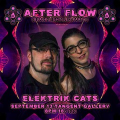 ELEKTRIK CATS