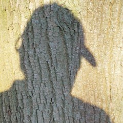 💀 SUB 1 💀 including A&D and other sonic trips