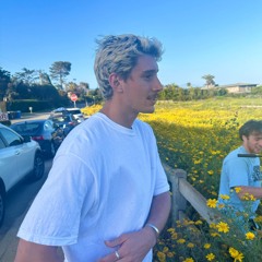 matt.