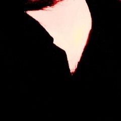 Hassan Sh.