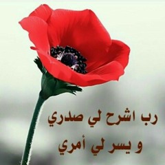 مخمد عبد الناصر