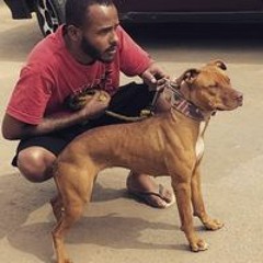 José Lucas Goullart