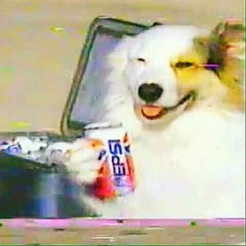 Pepsi puppy’s avatar