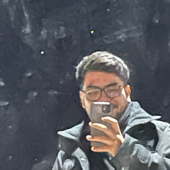 amir