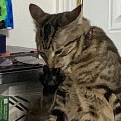 Audrey