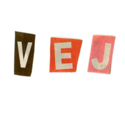 V.E.J’s avatar