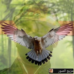 سام التعزي