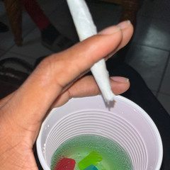 mr.bagchaser