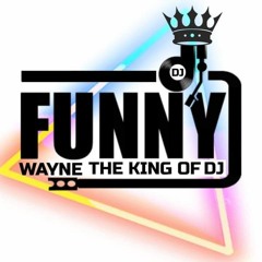 Dj Funny Wayne The Vibe