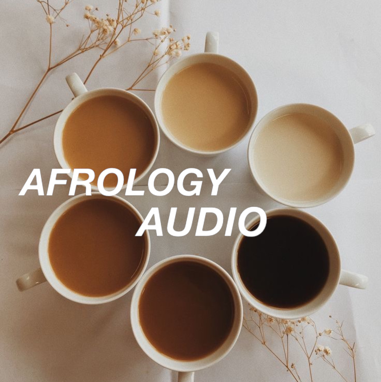 Afrology Audio