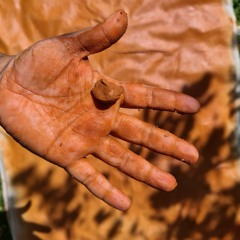 Kauae Raro Research Collective