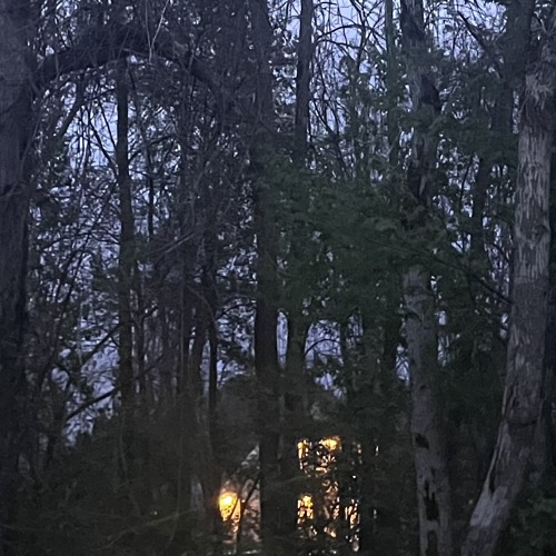 Stream Tape Rip music | Listen to songs, albums, playlists for free on ...