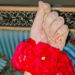 zainab Mughal❤