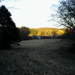 Rusted by Autumn (Official)