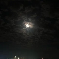 overnight