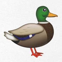 Duck646