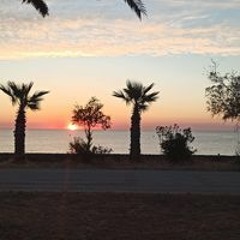 Thibault L'hérisson