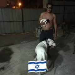 עטיה לחיים לחיים