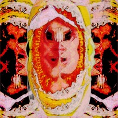 cSektion