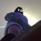 Iris_poisonpaws28| I follow back ↖(^ω^)↗