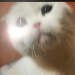김호정