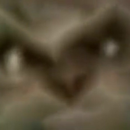 Кіт Томах’s avatar