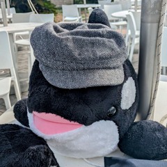 Orca0302