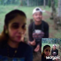 sinpa