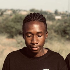 DistroKid Wheel of Playlist