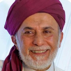 محمد أبو سرحان الكلحى