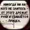TADAS GT