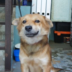 SSZer0