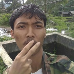Muhammadtorikbayhaqi