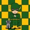 The ARROW FLASH