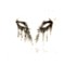 Fear_02