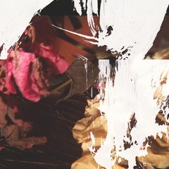 The Handsomest Drowned Man