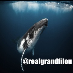 Grand Filou