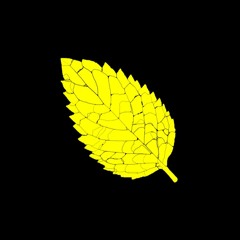 rdbrnrdo