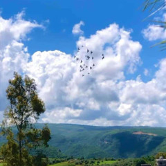فاطمة