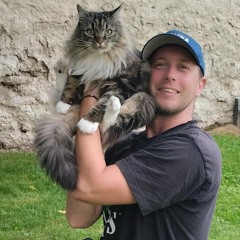 ☝️🌲🛸forest