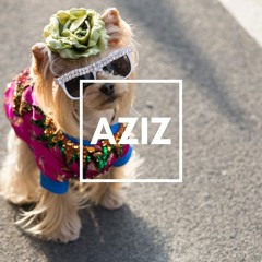 AZIZ