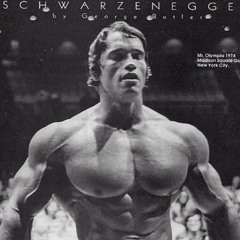 Christian Schwödiauer