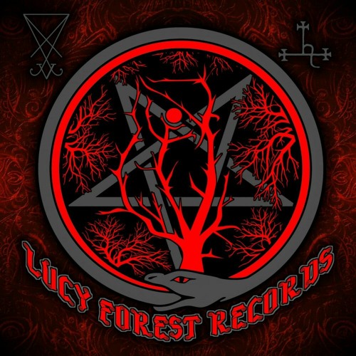Lucy Forest Records’s avatar