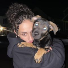 TAZ