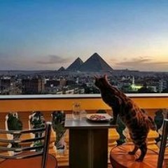 السيد الفار