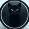GeorgeCat