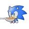 Sonic soniku