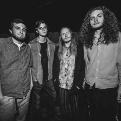 Cane Toads (Final Cut Testing)